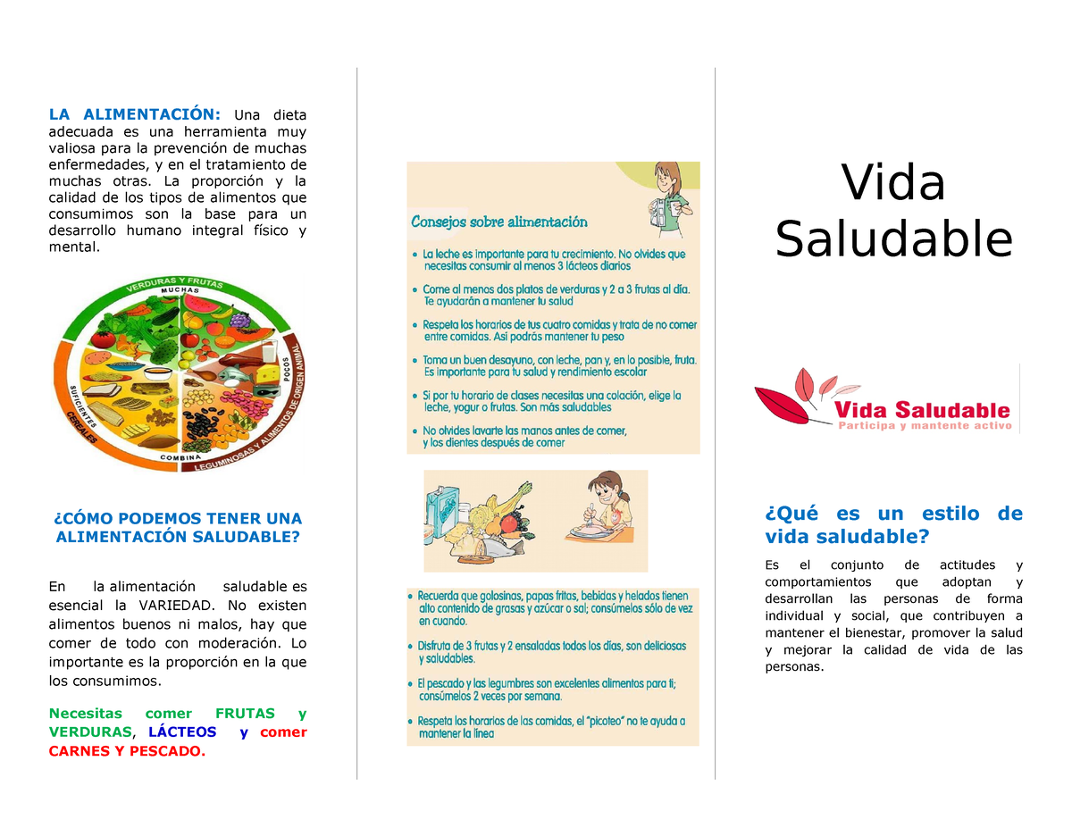 Triptico De Vida Saludable 2 La AlimentaciÓn Una Dieta Adecuada Es Una Herramienta Muy 1461