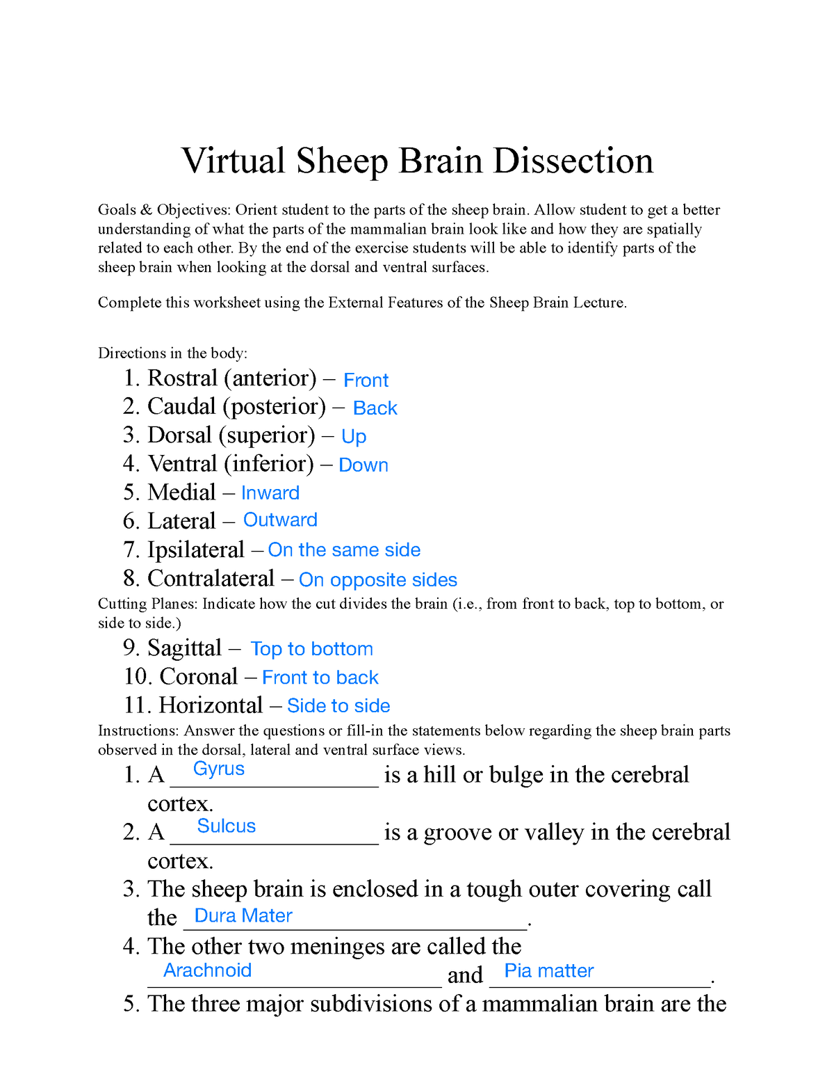 Virtual+Sheep+Brain+Dissection Virtual Sheep Brain Dissection Goals