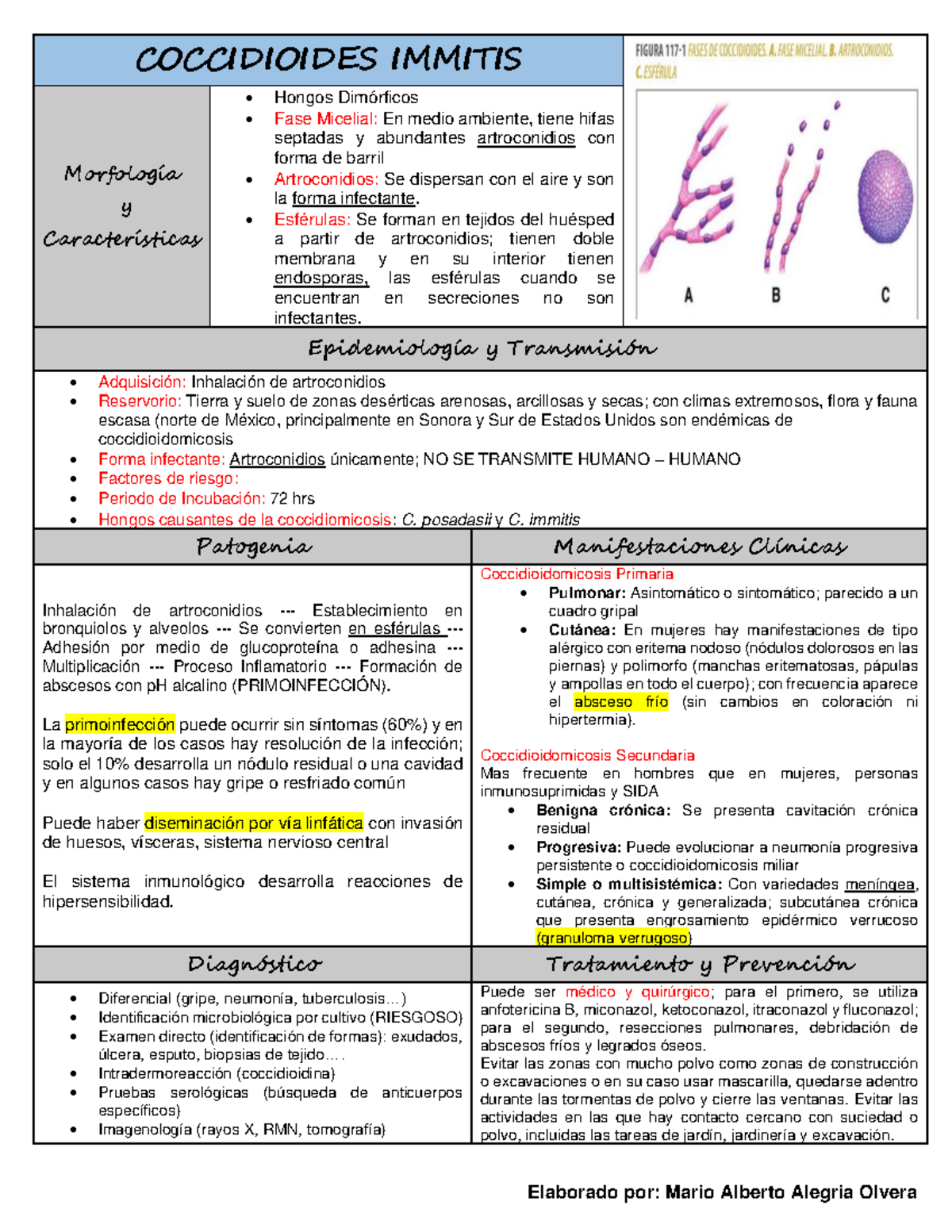 7. Coccidioides Immitis - COCCIDIOIDES IMMITIS Morfología y ...