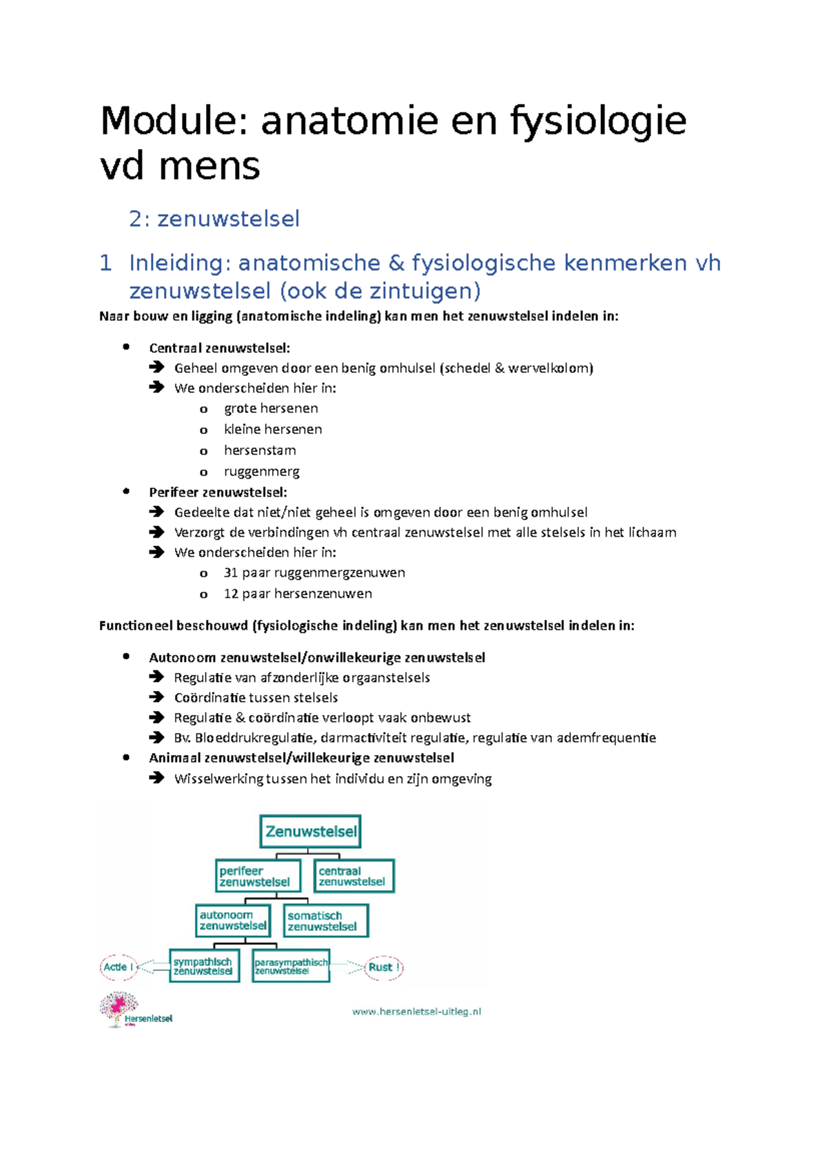 Het Zenuwstelsel - Module: Anatomie En Fysiologie Vd Mens 2 ...