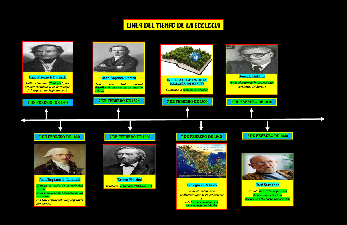 Linea del tiempo de la ecologia - LINEA DEL TIEMPO DE LA ECOLOGIA Karl