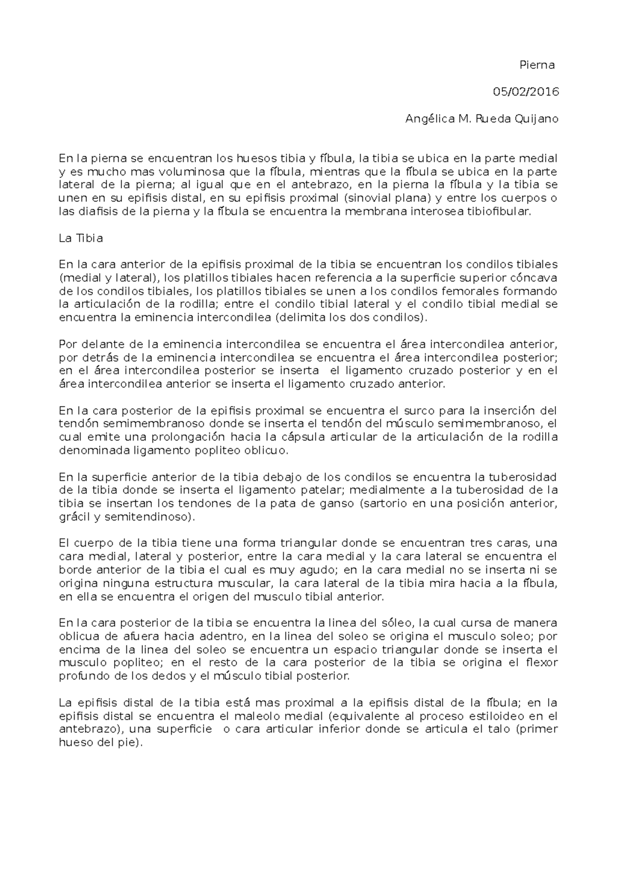 3. Pierna - miembro inf - Pierna 05/02/ Angélica M. Rueda Quijano En la  pierna se encuentran los - StuDocu