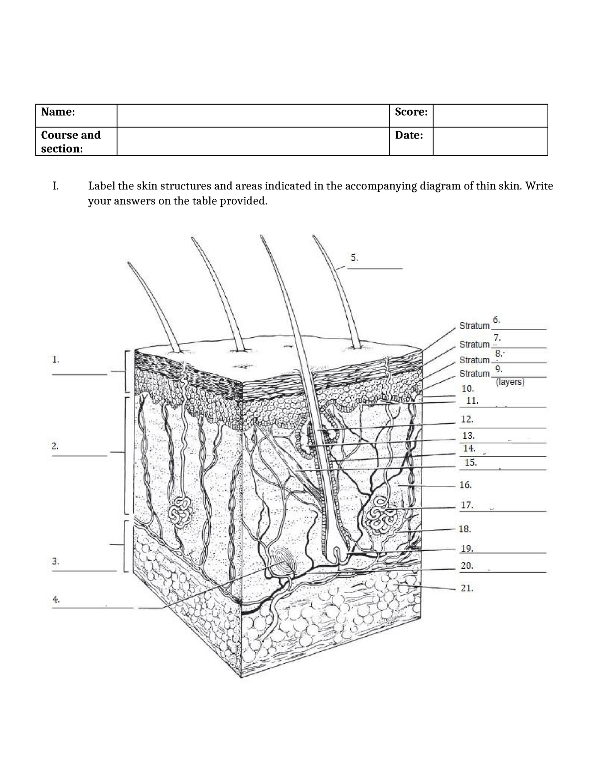 Module 8 WORK Sheet - Anatomy and Physiology - Name: Score: Course and ...