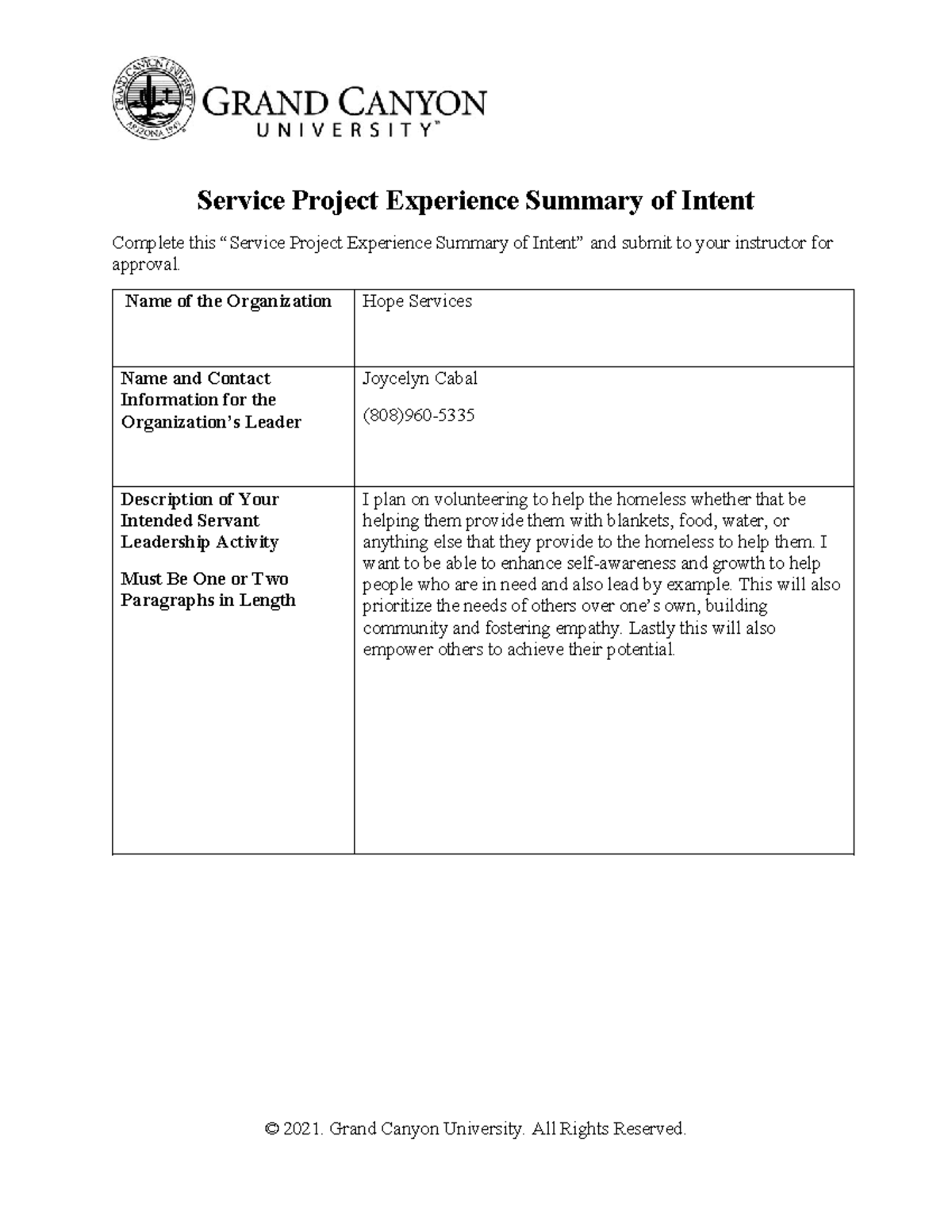 MGT-410-RS-Service Project Experience Summary of Intent - Service ...