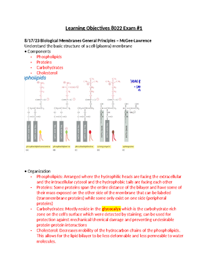 Learning Objectives #3 - BIOM 8022 Learning Objectives 10/16/23 ...
