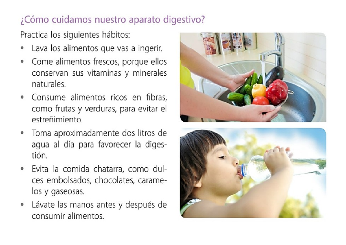 CTA 2 - apuntes - i Cómo cuidamos nuestro aparato digestivo? Practica
