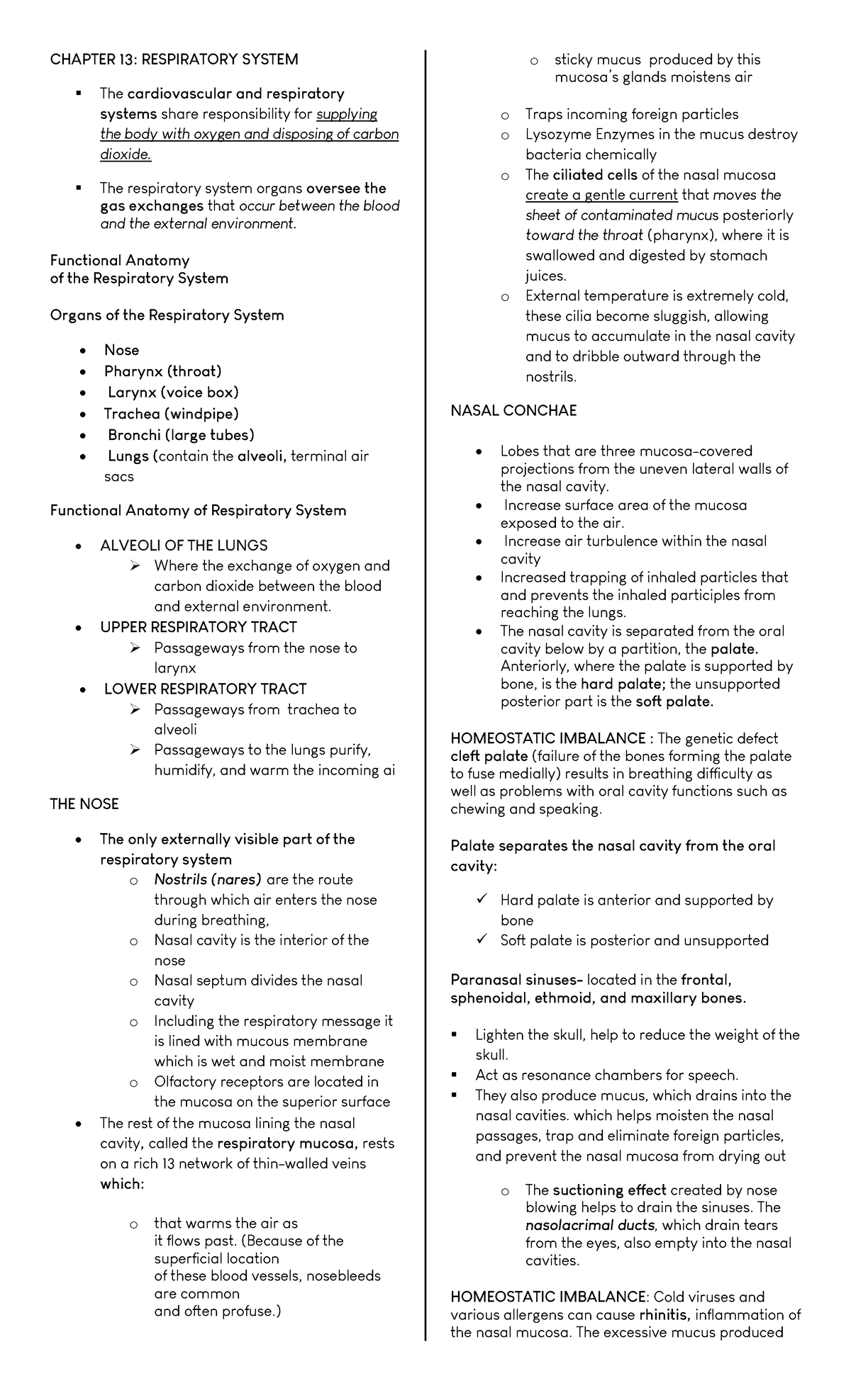 Respiratory System - CHAPTER 13: RESPIRATORY SYSTEM § The ...