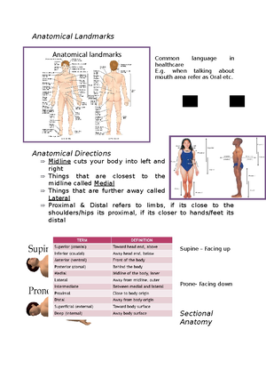 Anatomy and Physiology - Anatomy and Physiology Anatomy (from Greek ...