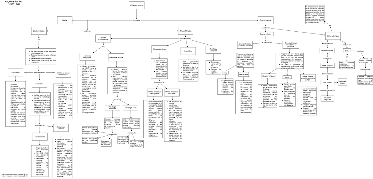 Mapa Conceptual Del Sistema Inmune - El Sistema Inmune Células Consta ...