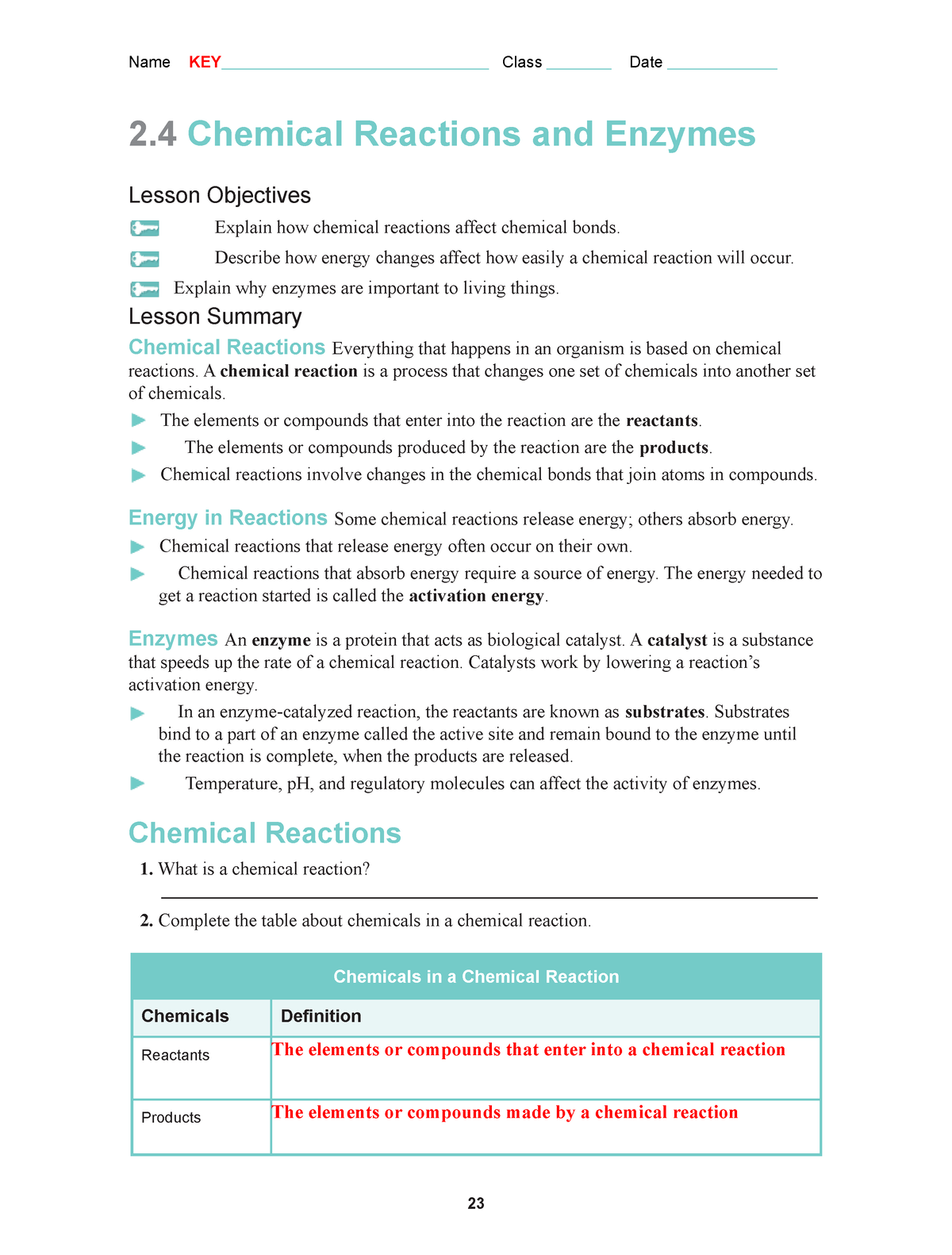 enzymes assignment answer key