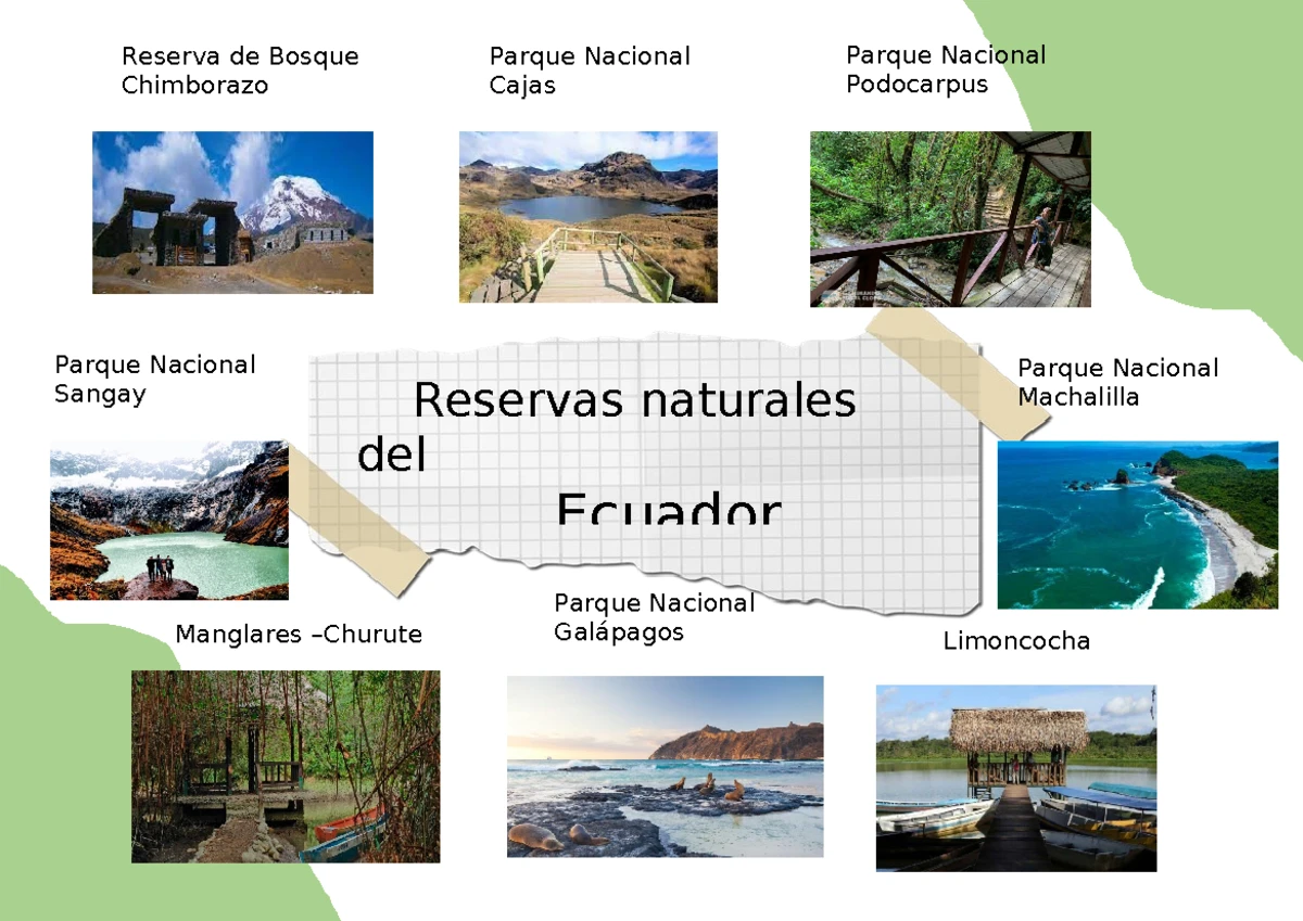 Planificación Ciencias Naturales - Profesora: Area: Año Básico: Tiempo ...