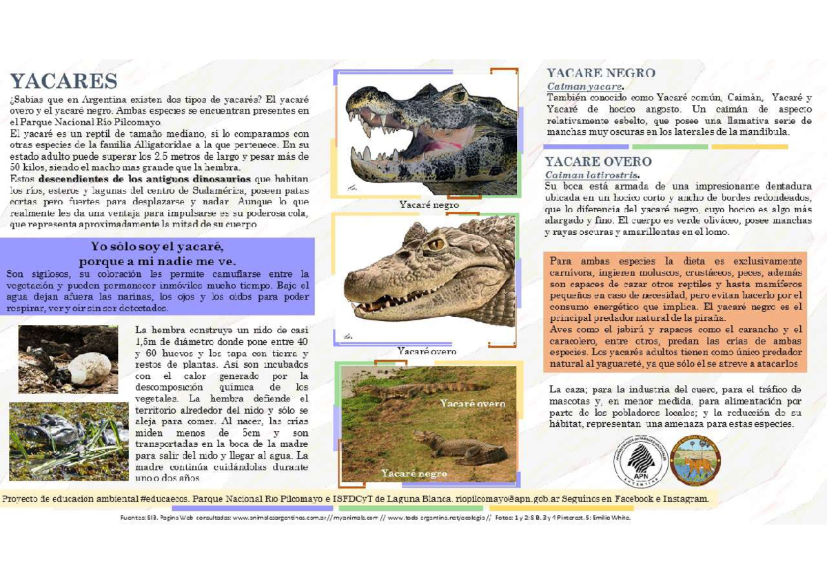 Yacares - Apuntes - Biologia - Studocu