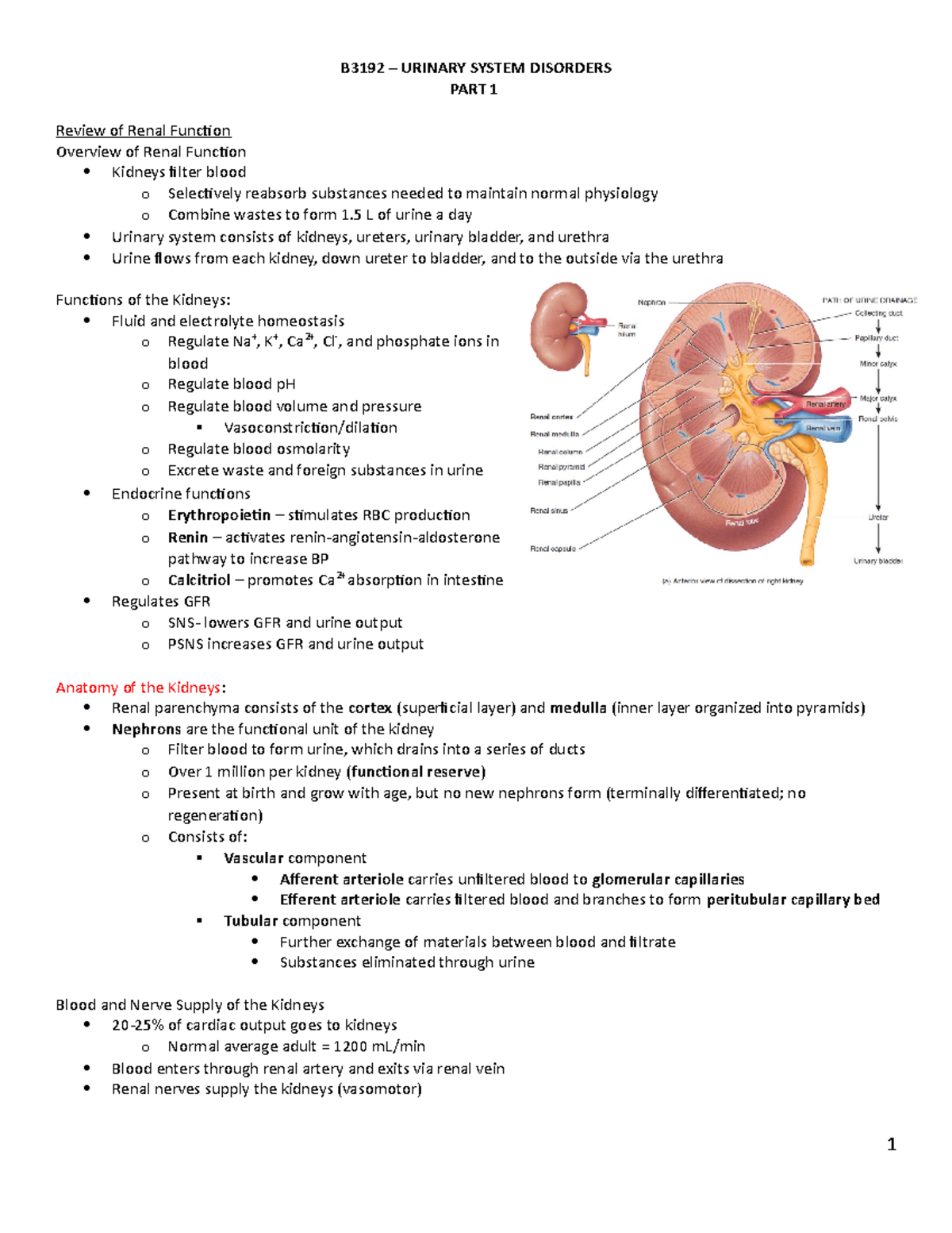 B3192 - Urinary Disorders - B3192 – URINARY SYSTEM DISORDERS PART 1 ...