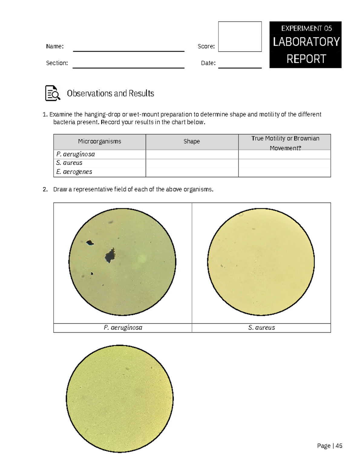 04 Microscopy - Lab sheet - 2. Name: Score: Section: Date: Observations ...