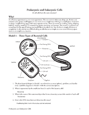 Pogil Prokaryotes v Eukaryotes