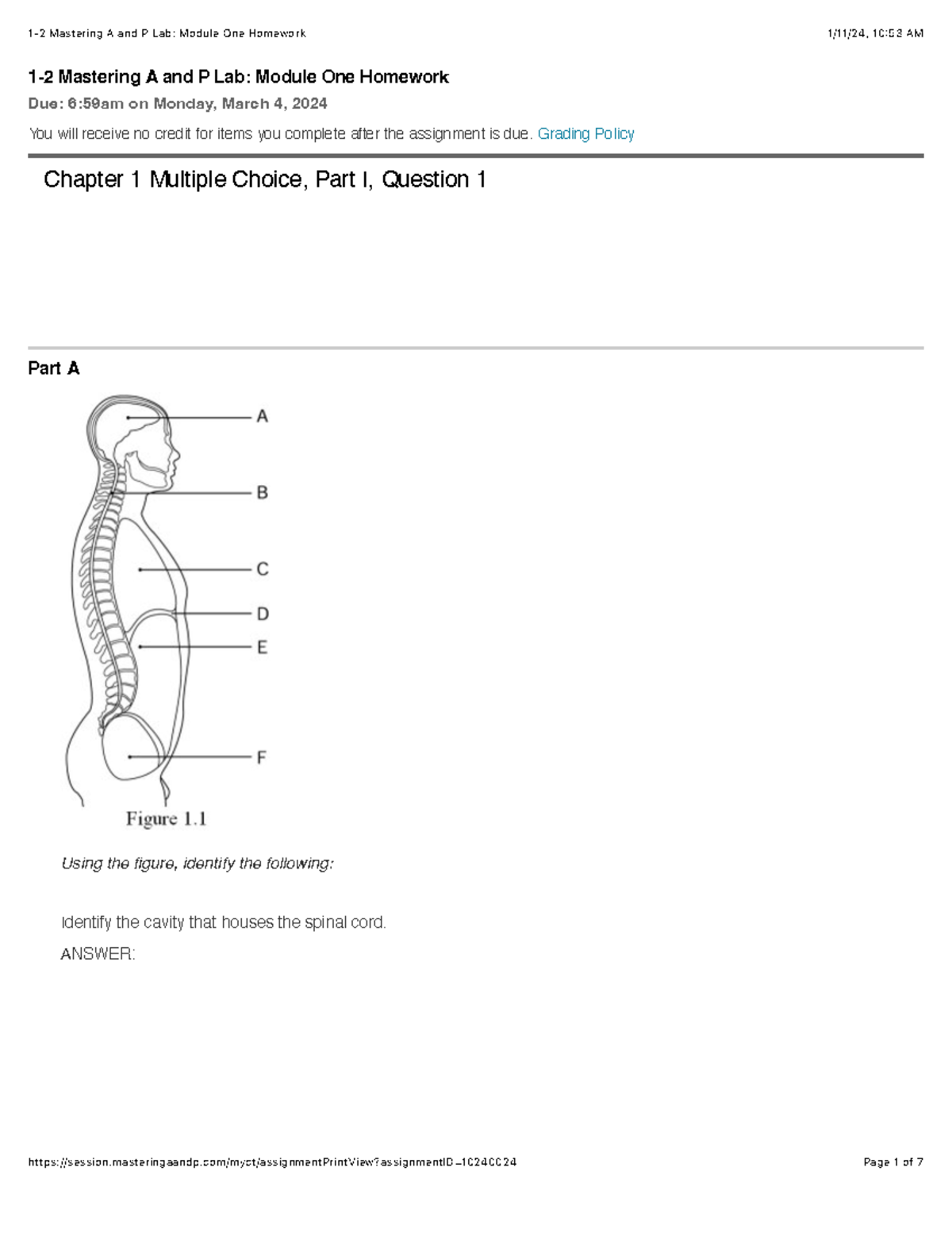 Mastering A And P Lab Module One Homework Grading Policy Chapter