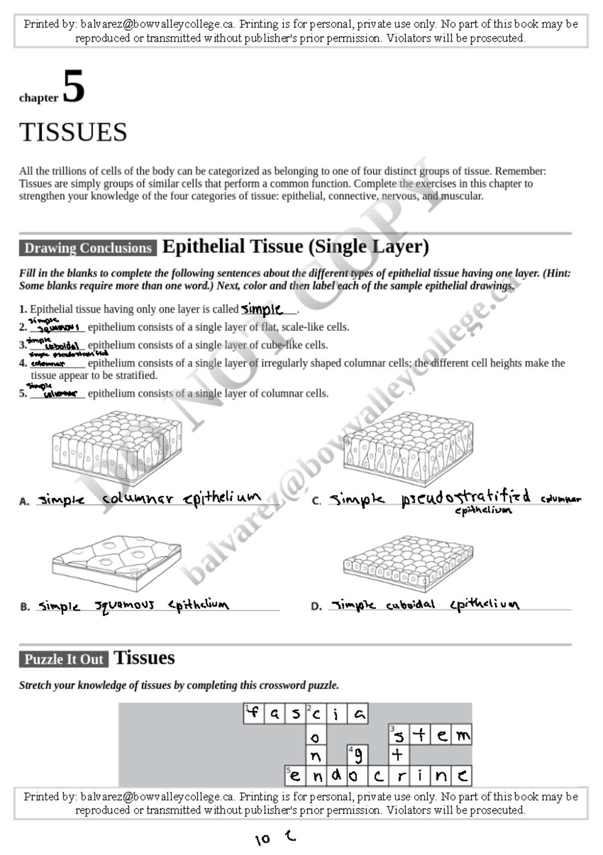 Tissues Activity - Printed by: balvarez@bowvalleycollege. Printing is ...