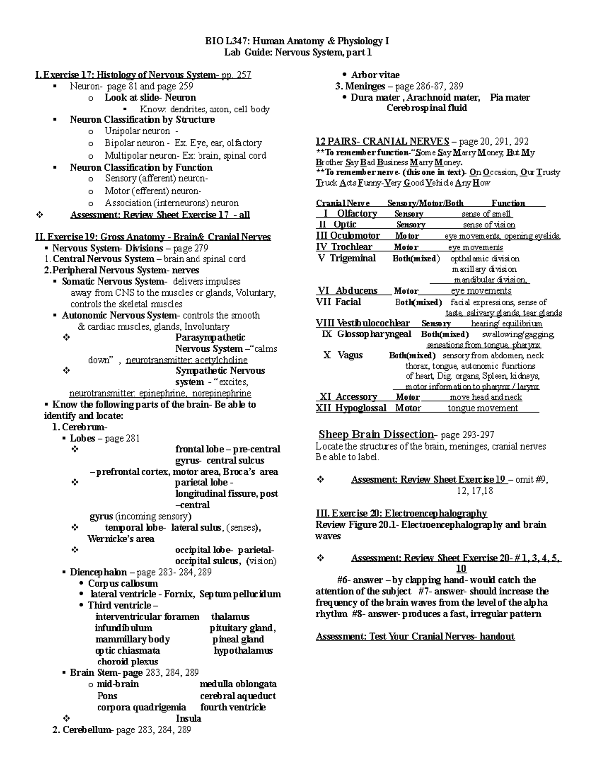 Nervous System Lab Guide - BIO L347: Human Anatomy & Physiology I Lab ...