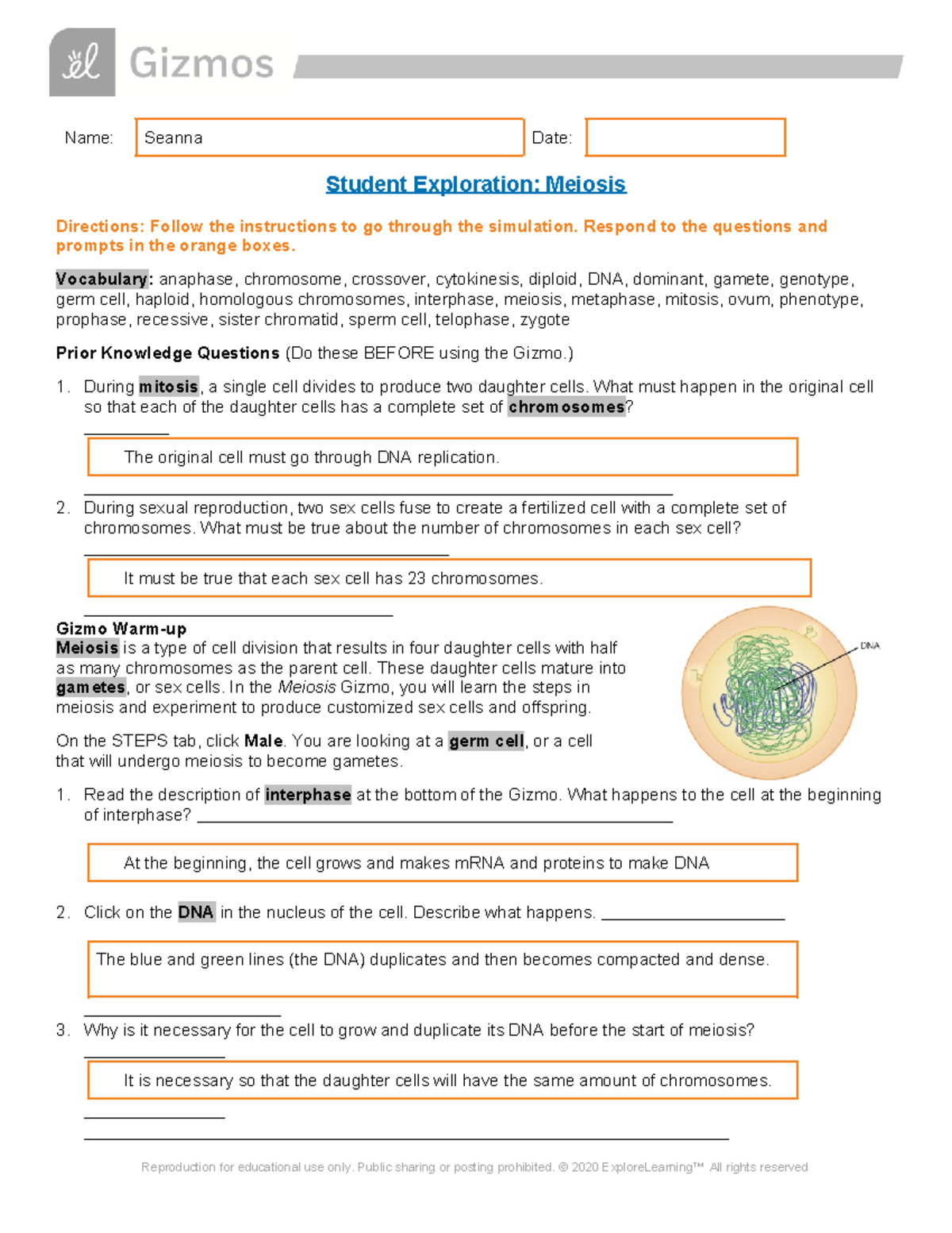 Meiosis Gizmos - Name: Seanna Date: Student Exploration: Meiosis ...