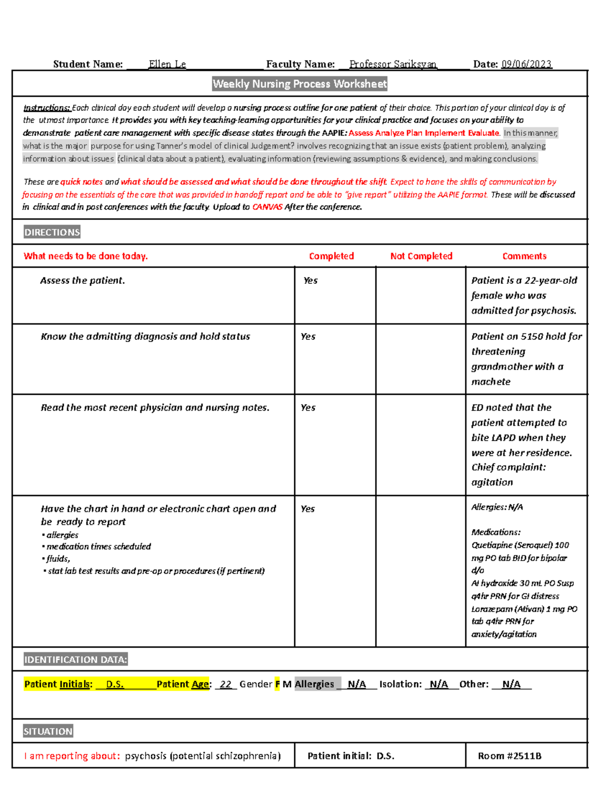 weekly nursing process worksheet