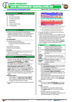 Ascending Tracts Dorsal Column Medial Lemniscus atf - 1 of 4 24 ...