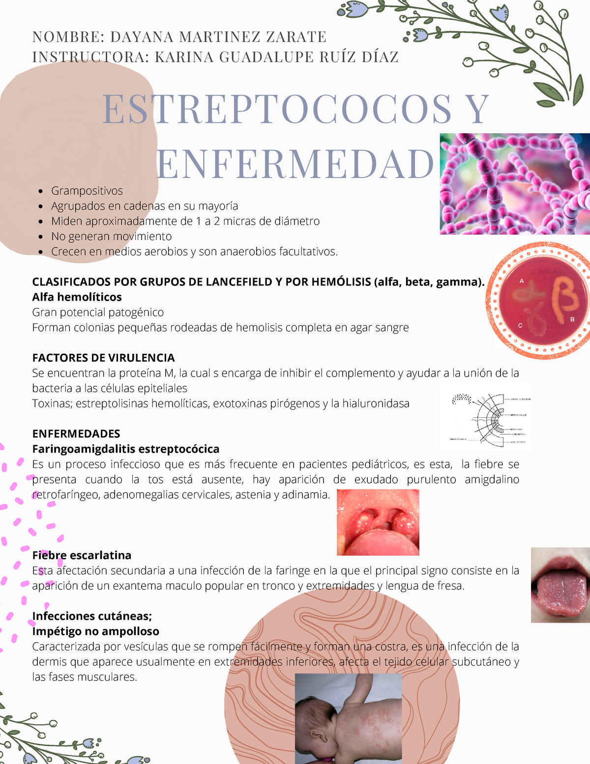 Infografia Estreptococos Y Enfermedad, Información Recopilada ...