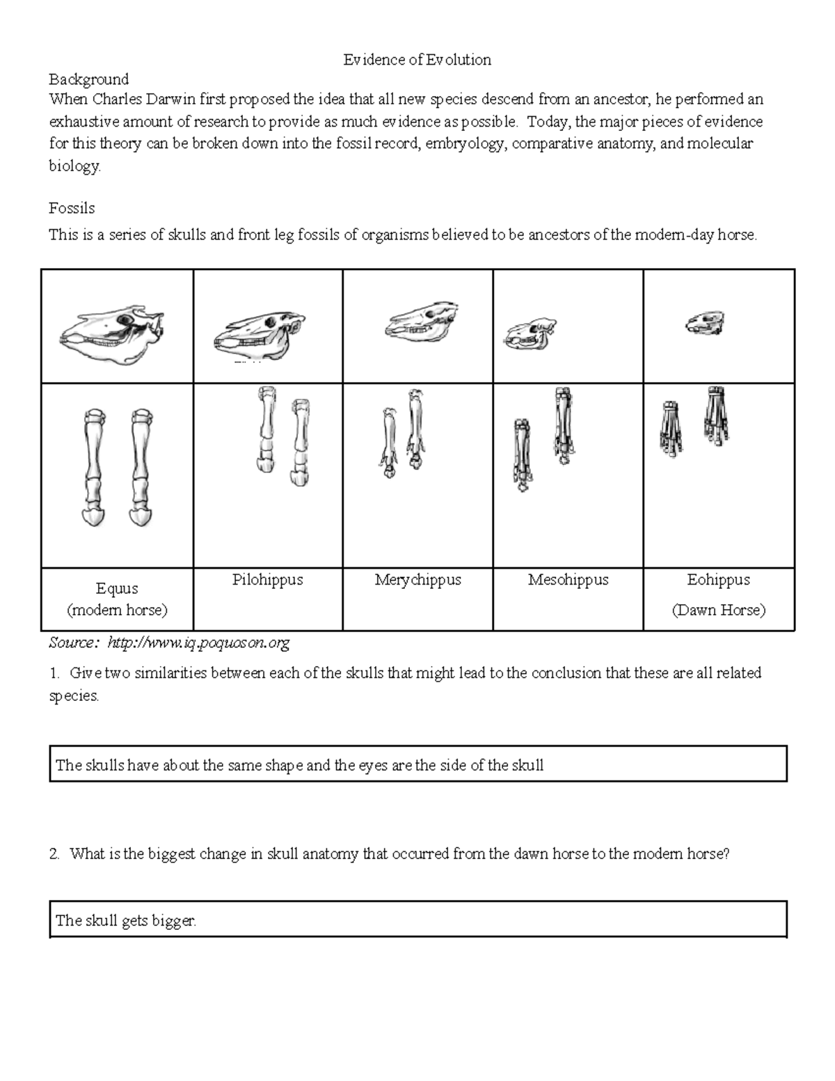 Evidence of Evolution - Evidence of Evolution Background When Charles ...