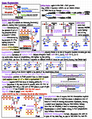 I. CH4 - Core Concepts and Terminology - CHAPTER 4: PROTEIN STRUCTURE ...