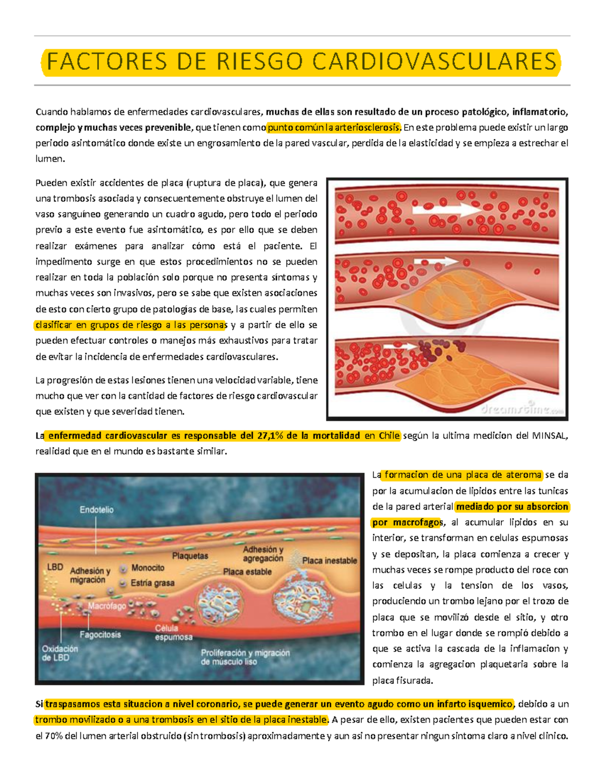 Clase De Factores De Riesgo Cardiovascular Medicina - FACTORES DE ...