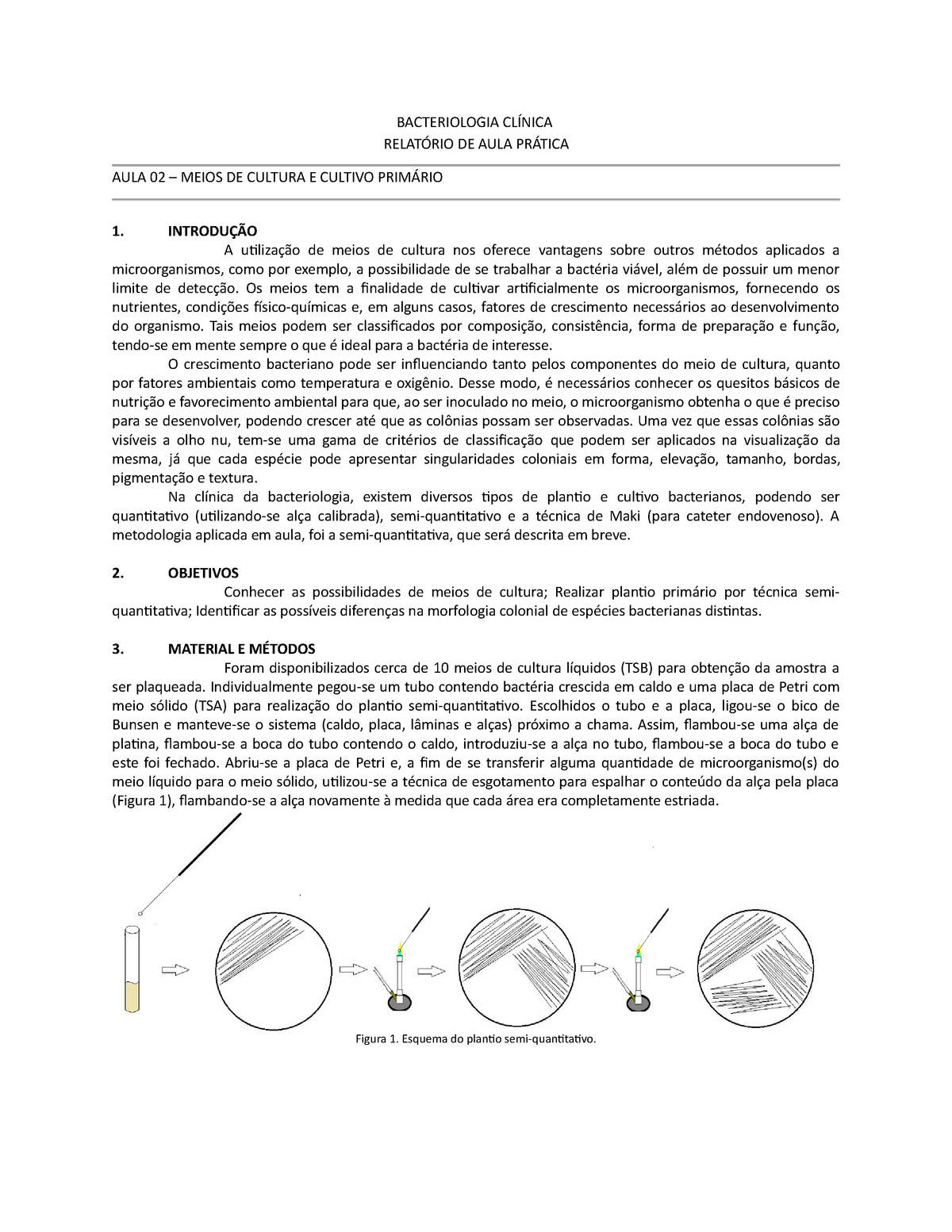 Relatorio De Aula Pratica Anatomia Edubrainaz 9048