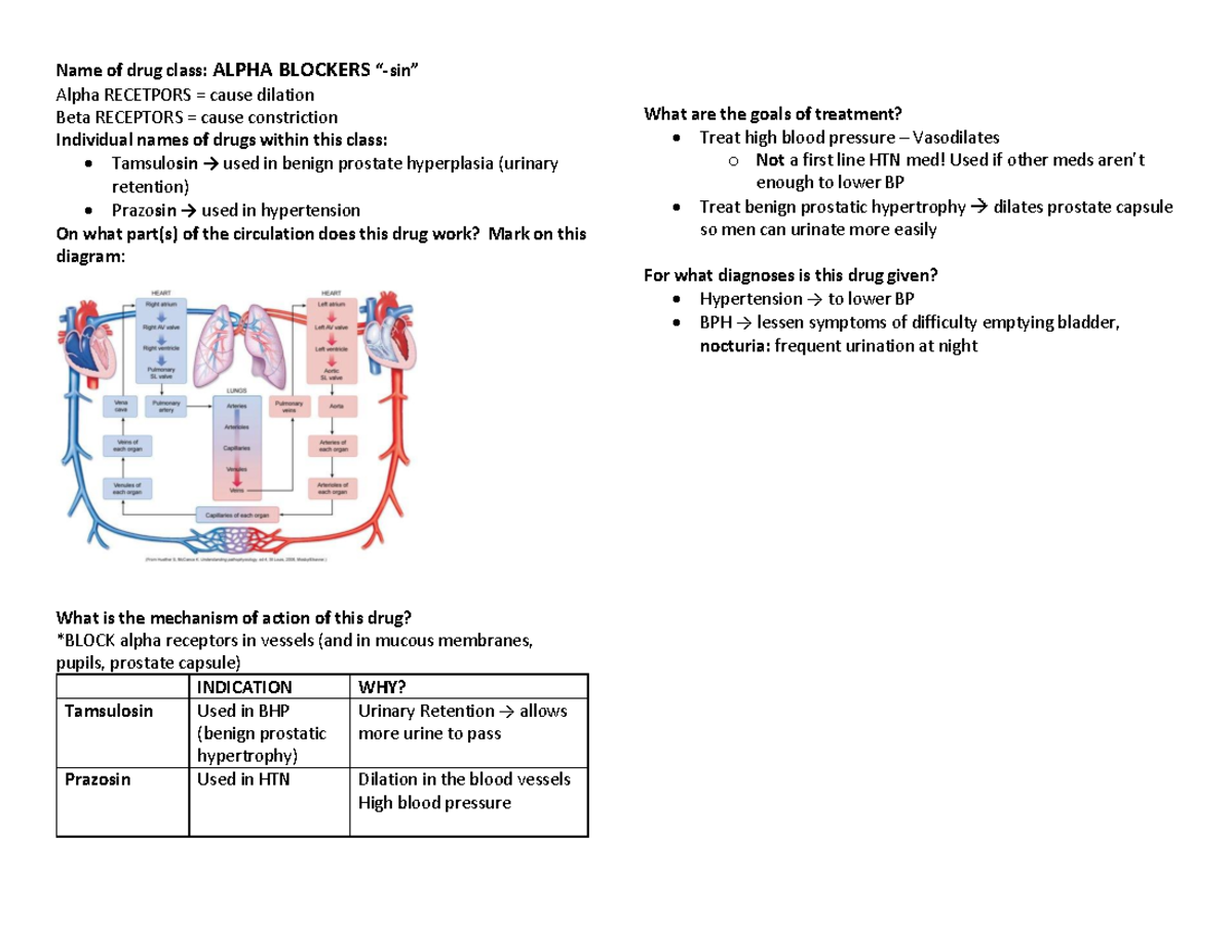 Circulatory drugs - Alpha Blockers - Name of drug class: ALPHA BLOCKERS ...