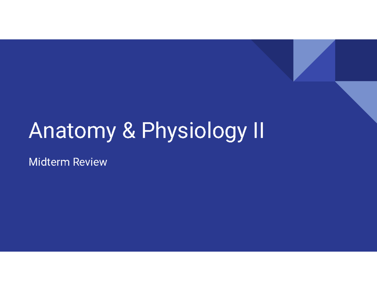 anatomy-and-physiiology-exam-2-guide-anatomy-physiology-ii-midterm