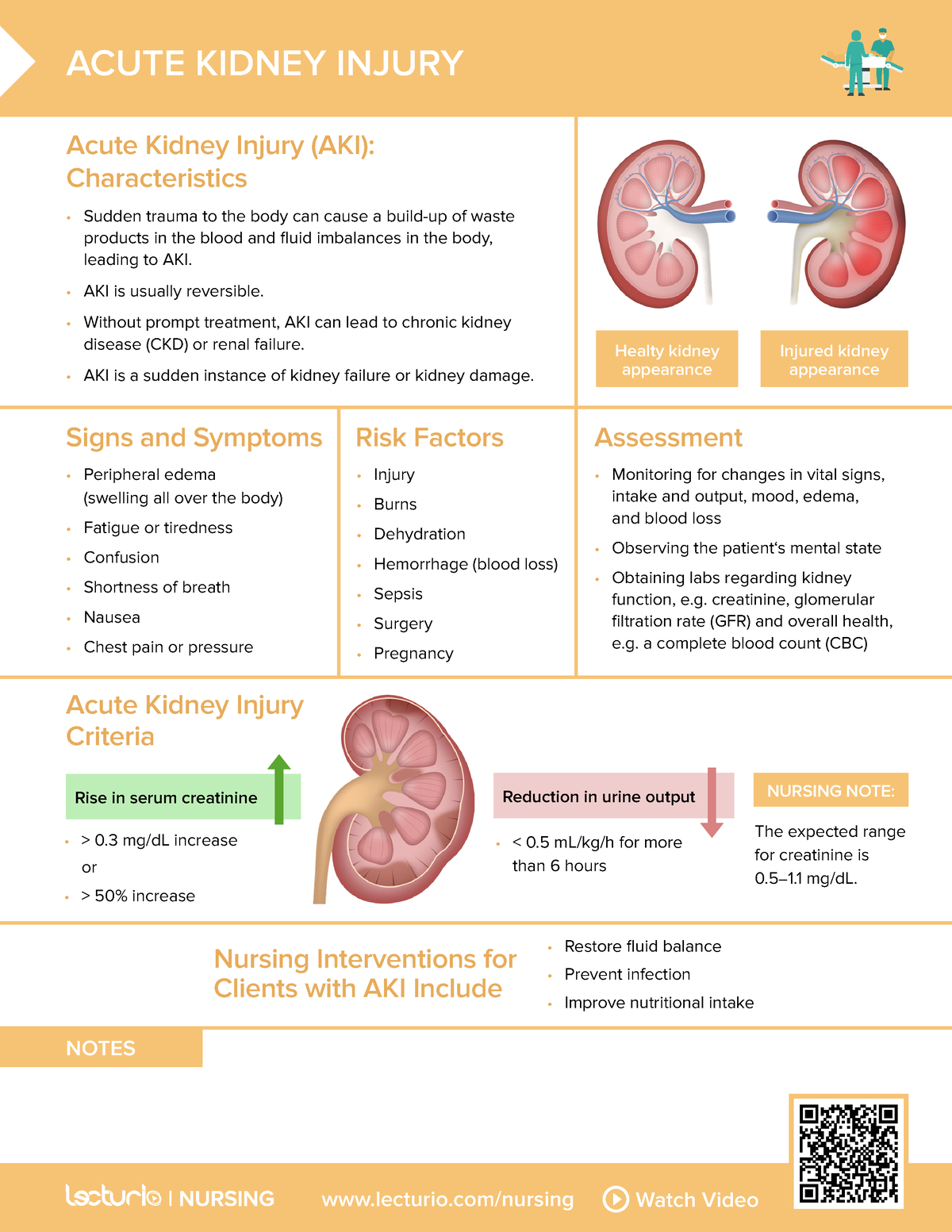 nursing-cs-acute-kidney-injury-04-lecturio-nursing-watch-video-notes