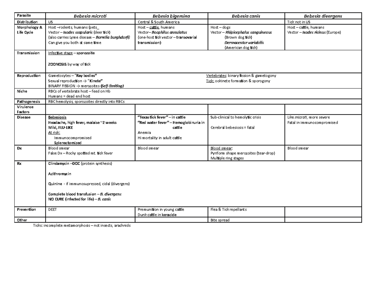 Babesia spp - Bebesia microti Parasite Distribution Morphology & Life ...