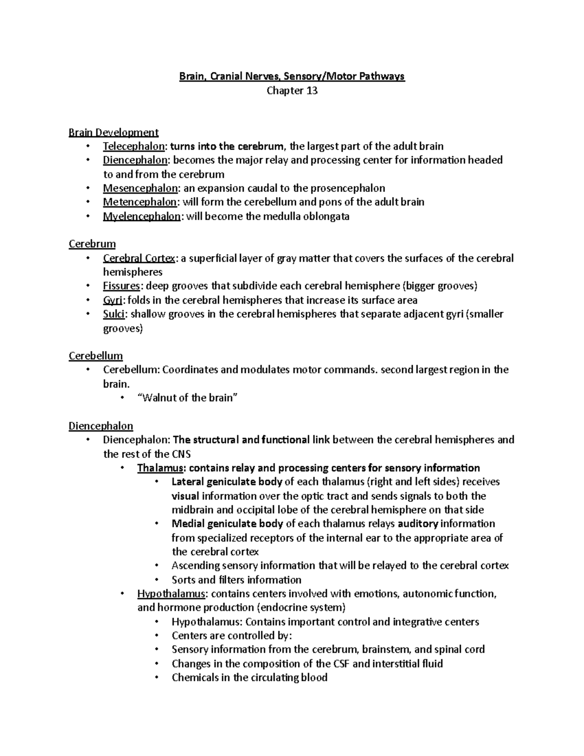 Anatomy And Physiology II - CH13 Lecture - Brain, Cranial Nerves ...