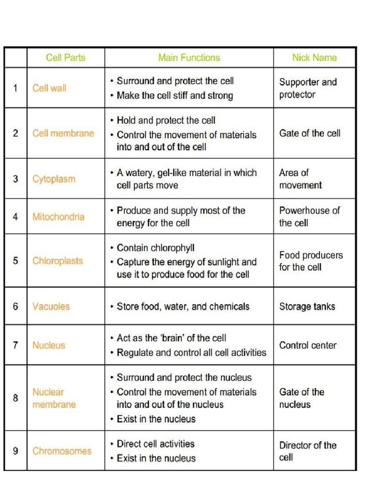 Biology Chart - Bio-L 101 - Studocu