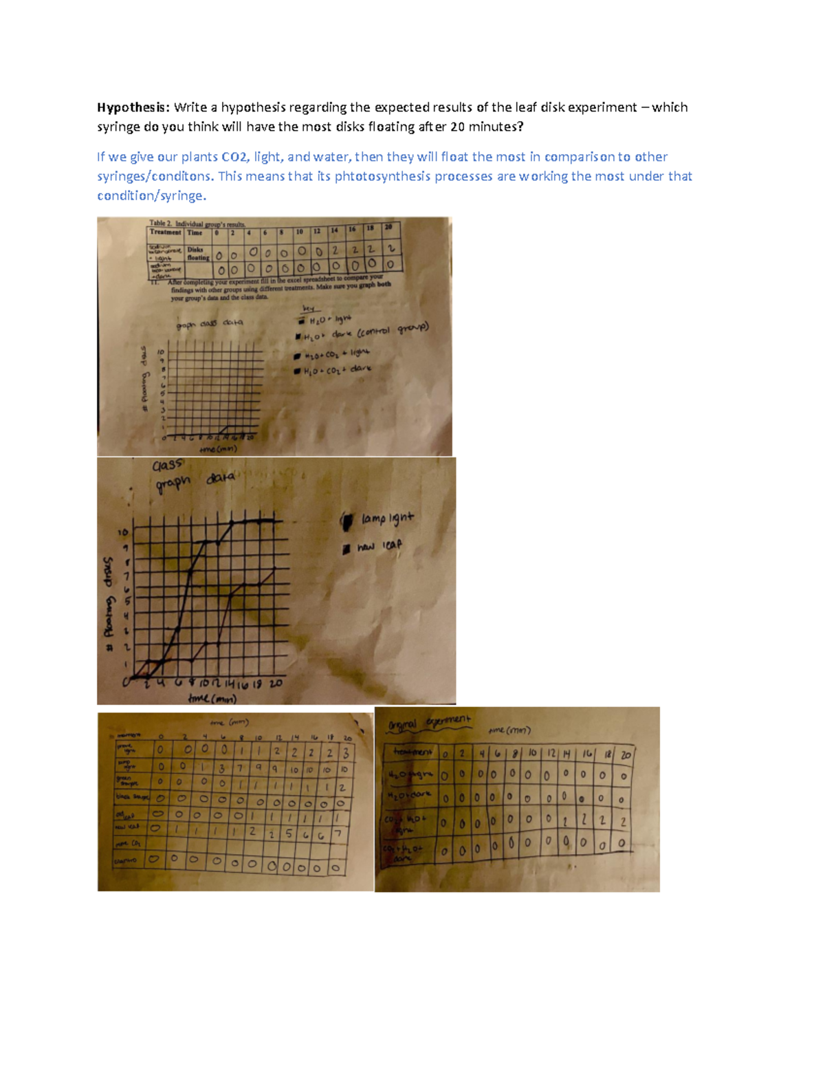 Photosynthesis Post Lab Hypothesis Write a hypothesis regarding the