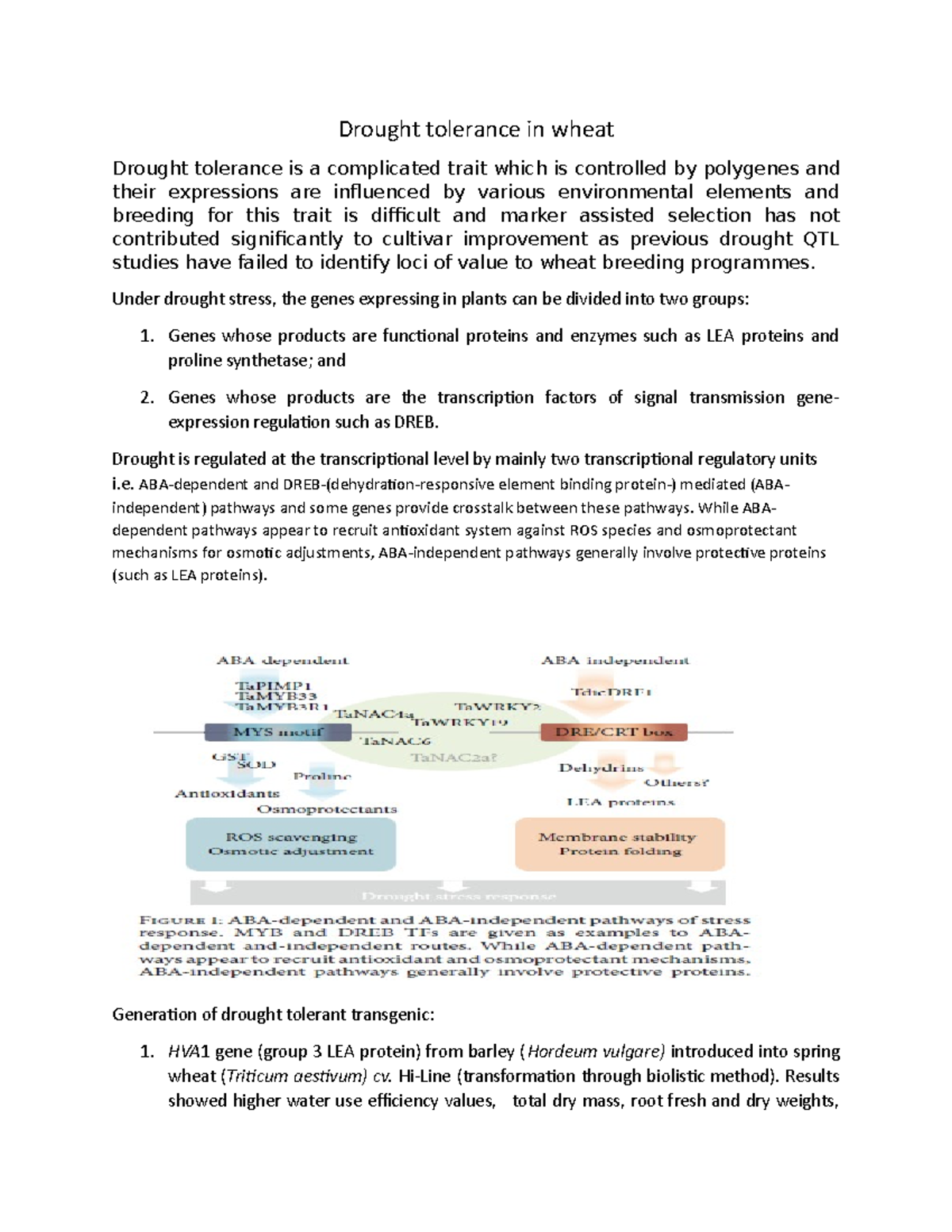 Drought tolerance in wheat - Drought tolerance in wheat Drought ...