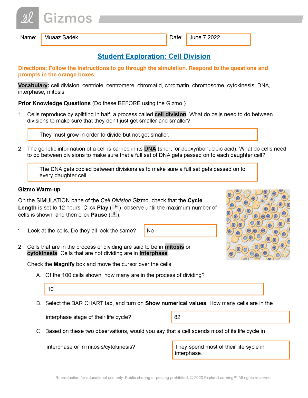 pathophysiology-unit-2-cell-division-se-name-muaaz-sadek-date-june