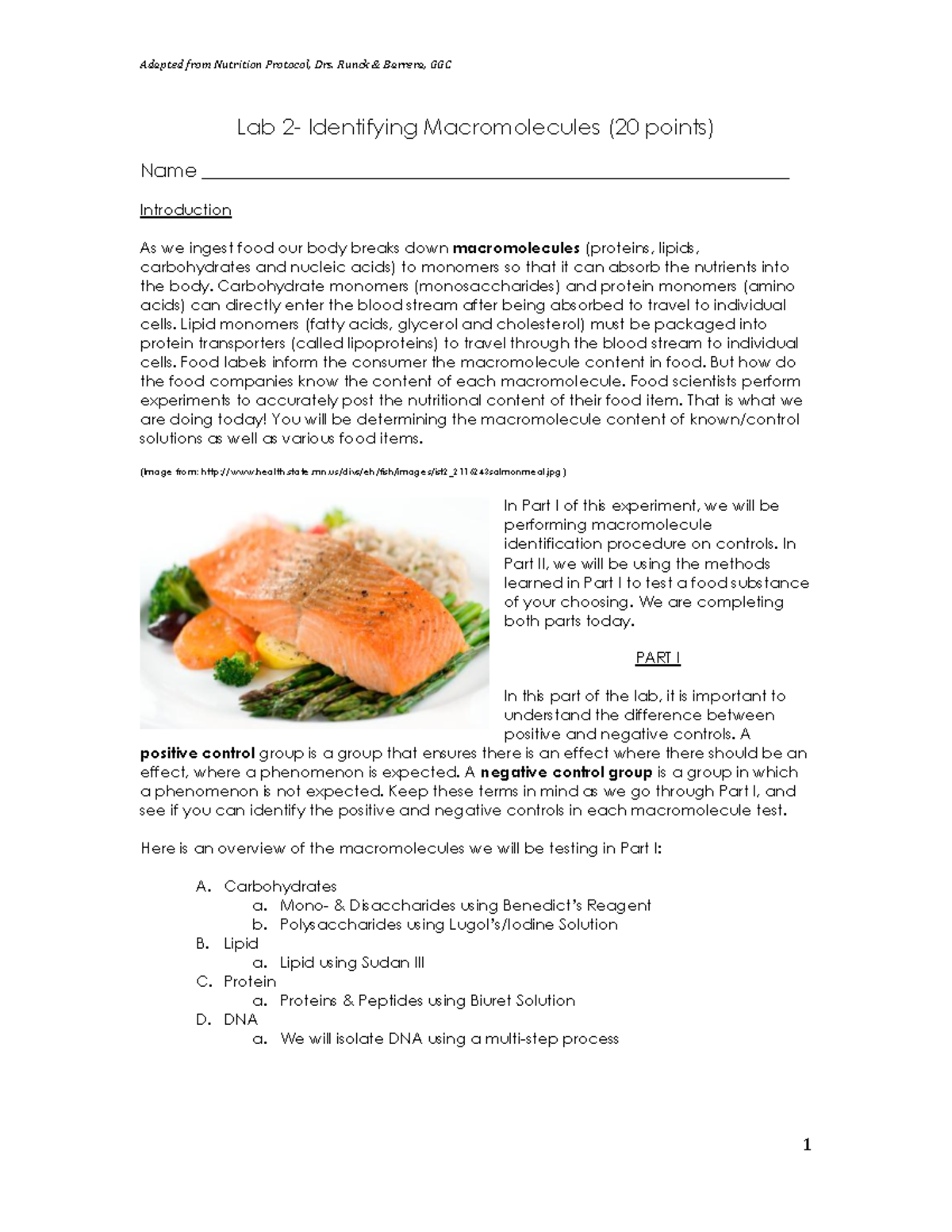 Bio 105- Lab 2- Macromolecule Identification - Lab 2- Identifying ...