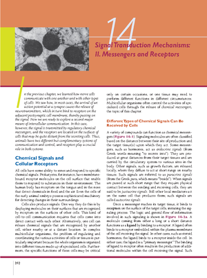 Jpd Dec 08 - Bio - Journal of Personality Disorders, 22(6), 589–603 ...