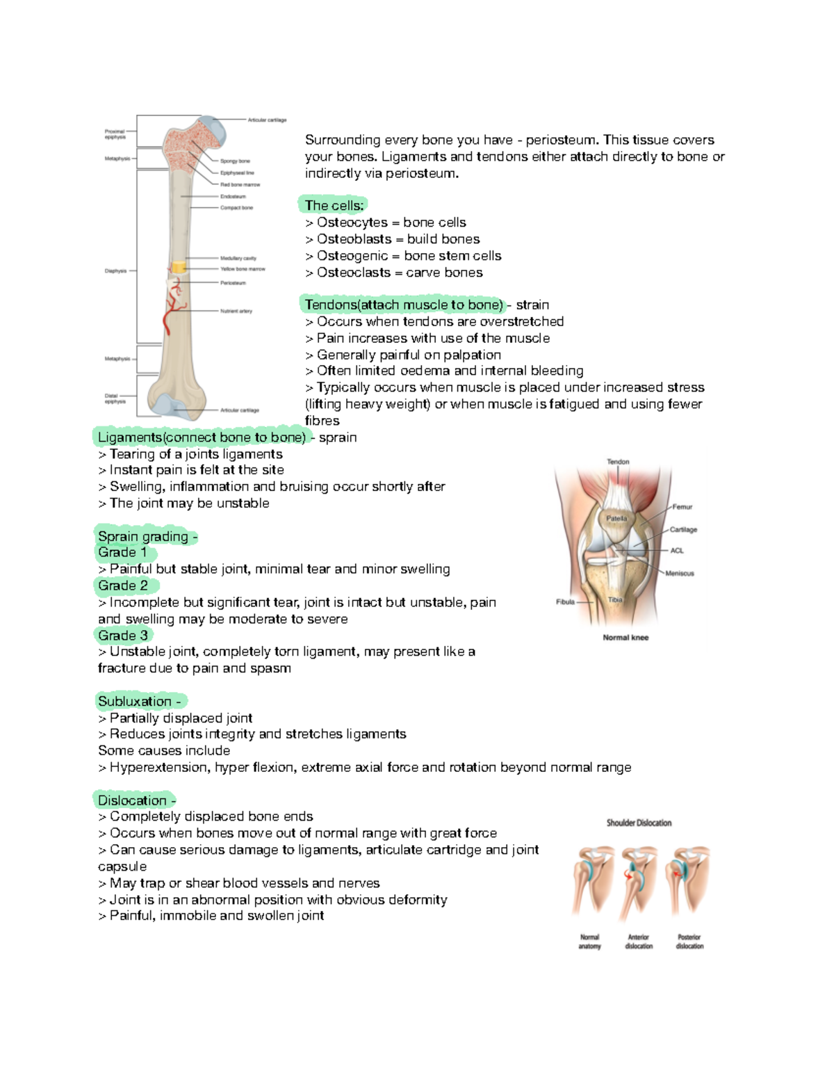 Musculoskeletal Pathology - Surrounding every bone you have ...