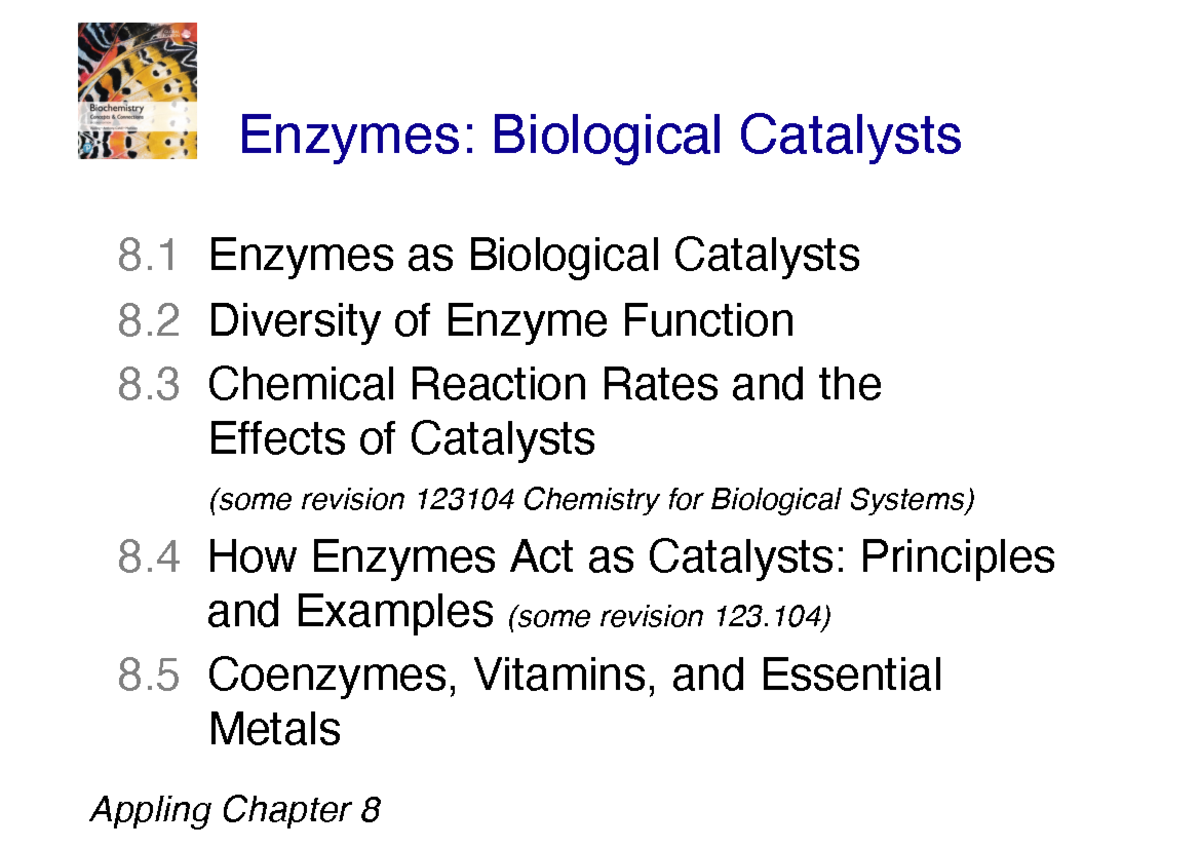 Lecture 4 biochemenzymes 11pp Enzymes Biological Catalysts 8