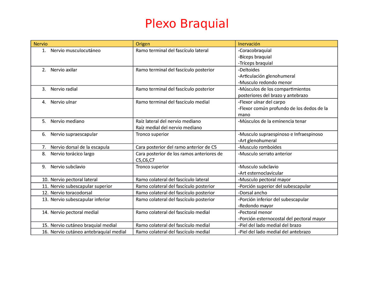 Plexo Braquial Tabla - Plexo Braquial Nervio Origen Inervación 1 ...