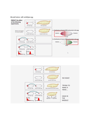 Evolution Study Guide - M2E Evolution Study Guide Listed below are the ...