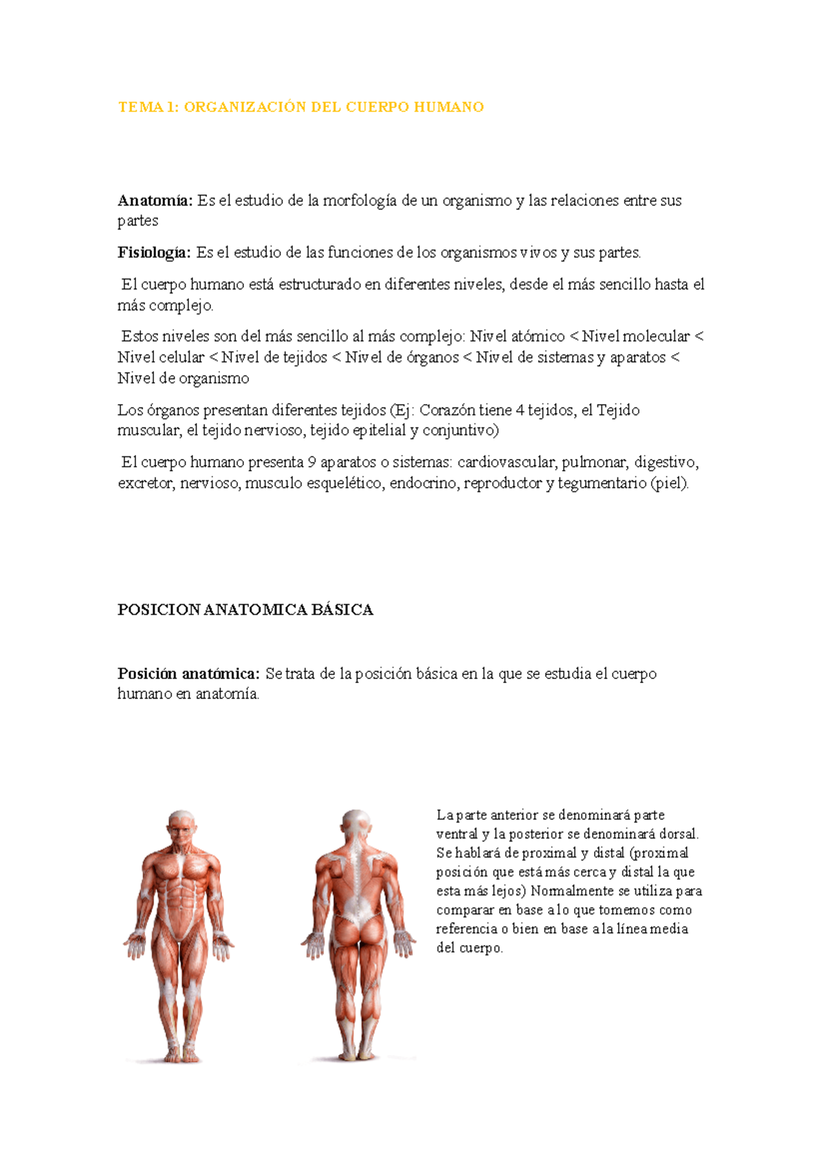 Apuntes Tema 1 Organizacion del cuerpo humano - TEMA 1: ORGANIZACIÓN ...