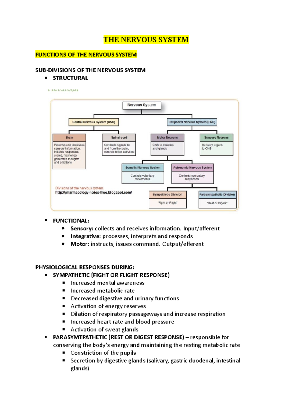 THE Nervous System - Lecture Notes 6-9 - ANAT SC 1102 - Adelaide ...