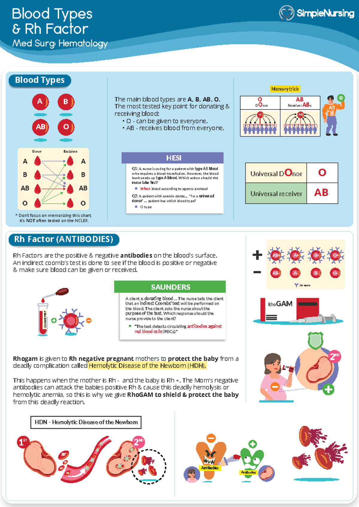 1-4-blood-types-rh-factor-blood-types-rh-factor-blood-types-rh-factor-antibodies-a-b-ab