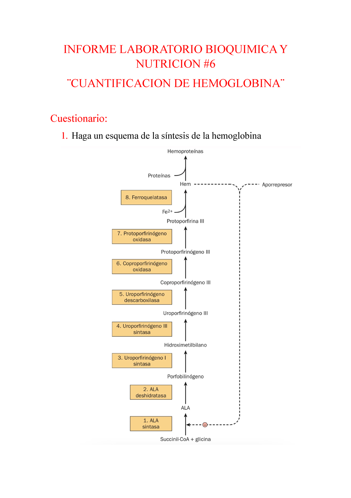 Informe Laboratorio Bioquimica 6 Informe Laboratorio Bioquimica Y Nutricion ̈cuantificacion De 1239