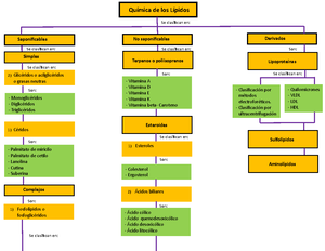 Mapa conceptual de Química de Lípidos - No saponificables Derivados Se  clasifican en: Saponificables - Studocu